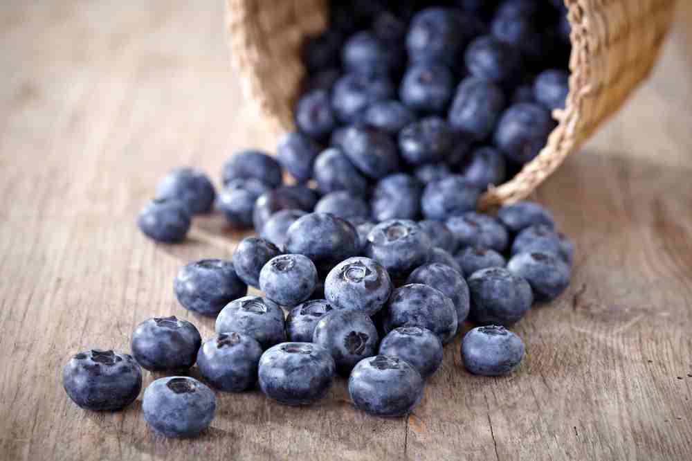 blueberries motivational food
